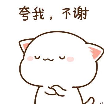 皮皮爱跳舞💃