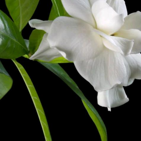 风中有个你，拒绝私聊