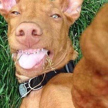 卖发饰的小二娃