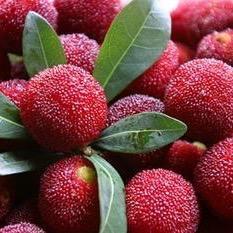 (๑•́ ₃ •̀๑)明天会更好