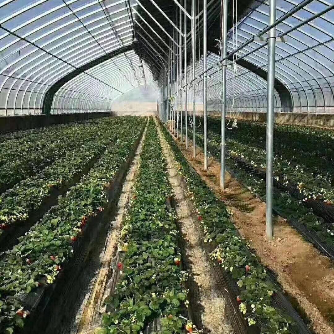 宿迁宝科温室工程有限公司