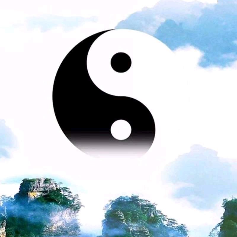 卧龙村夫