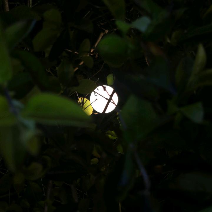 泉州中维