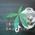 背对世界