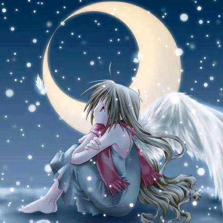 🌟⭐星星追着月亮🌙