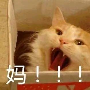 观察四方的妖妖零🕸️