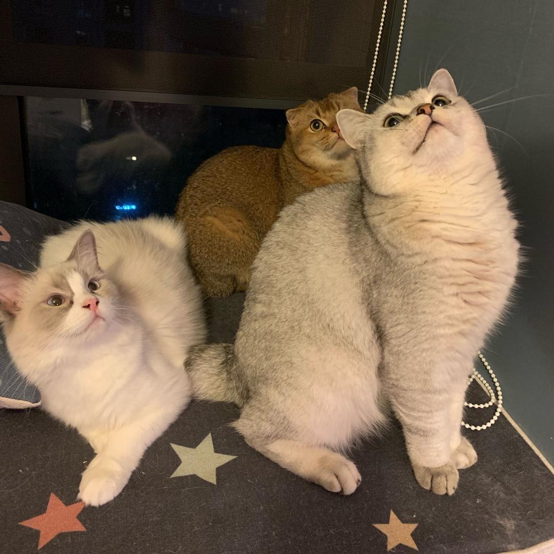 wee