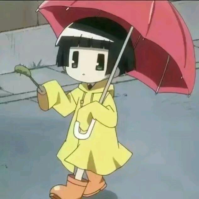 淡雅风韵