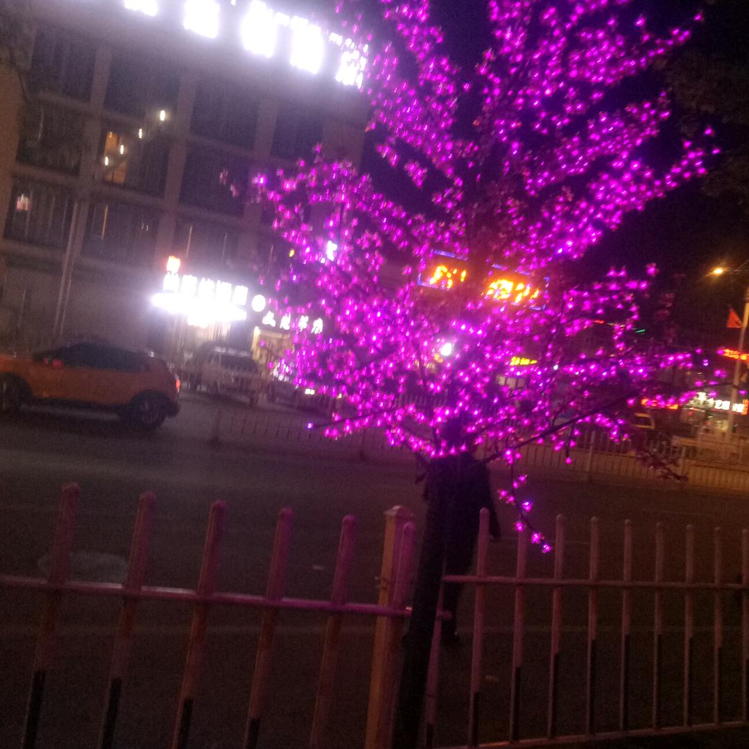 没有