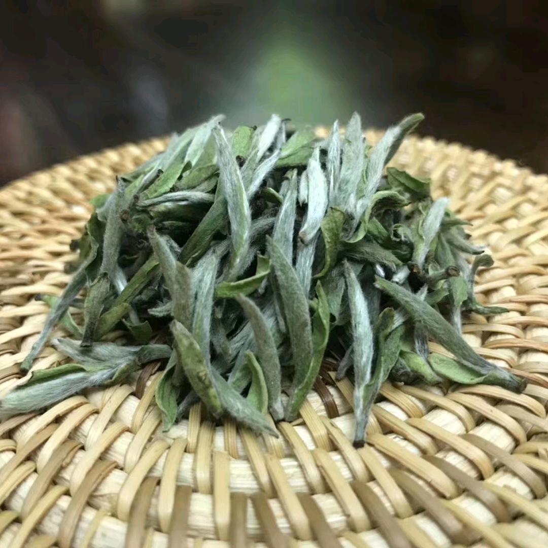保镖～标哥