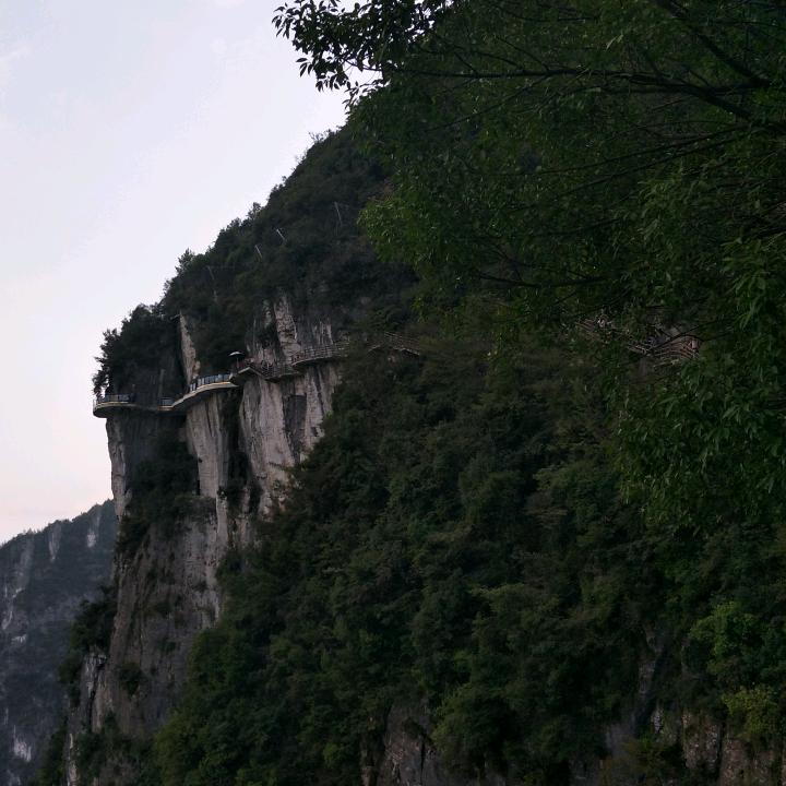 谷麦逗钓