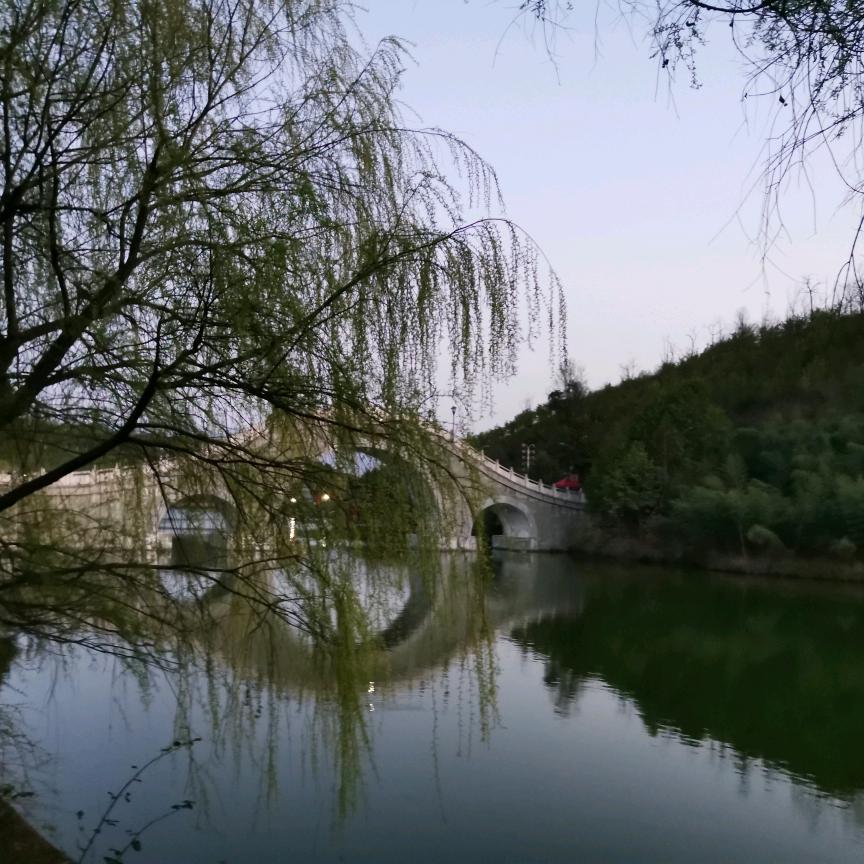x胜利