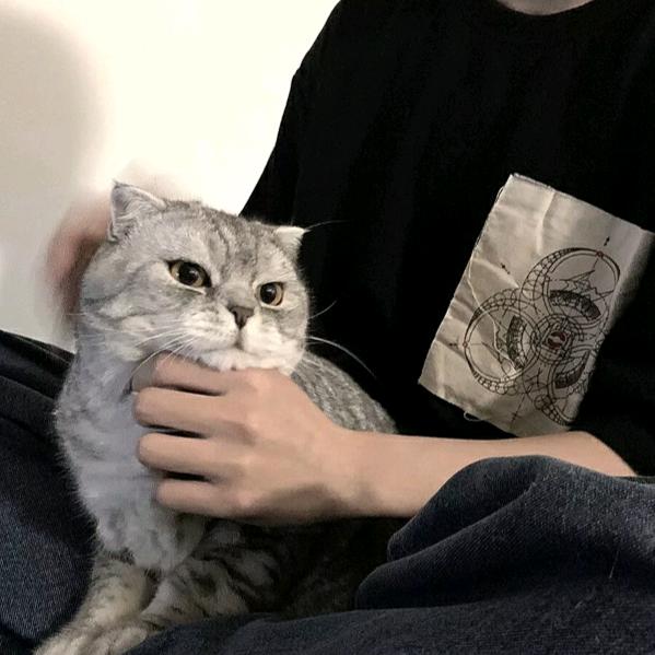 梦中的恐龙℡