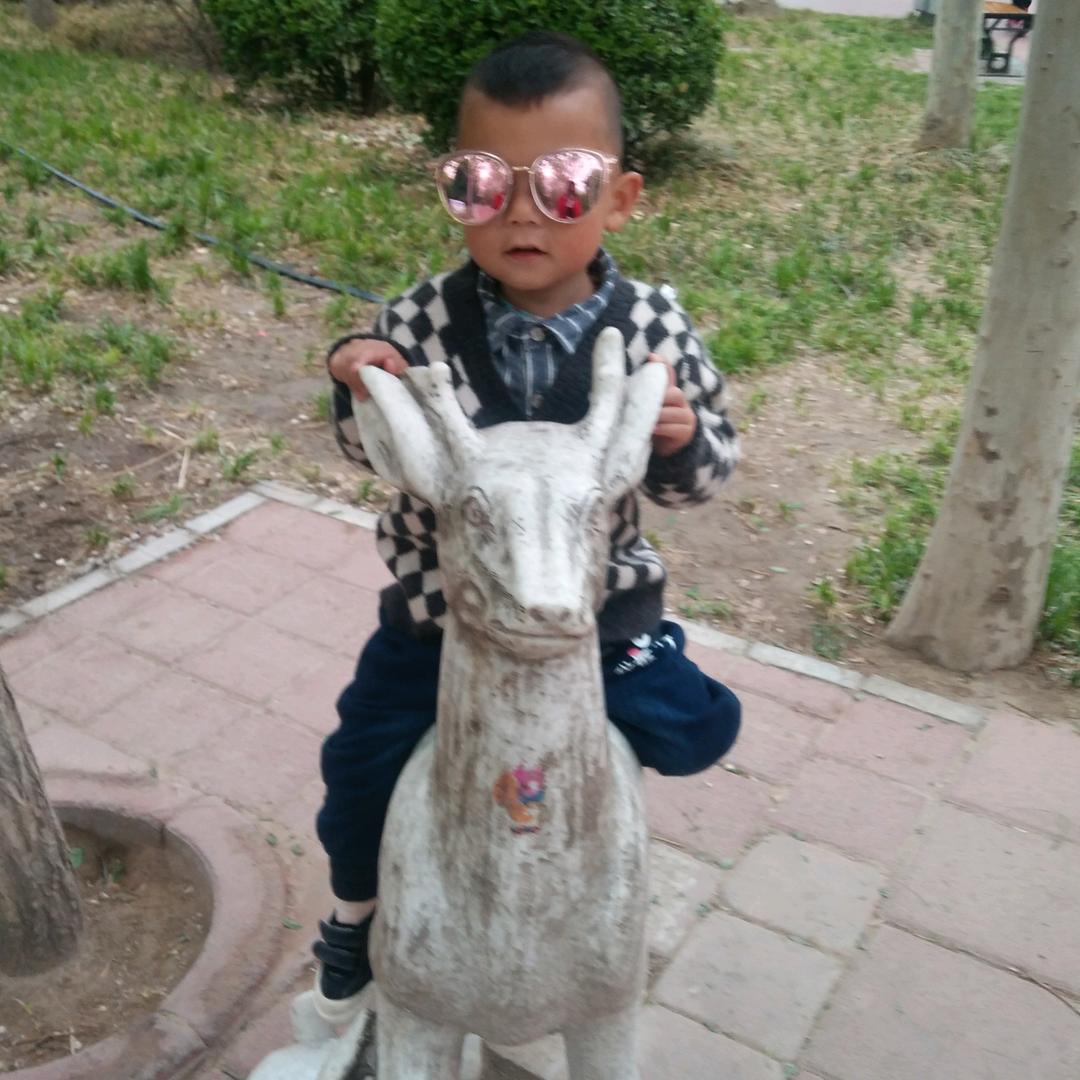 春天的花