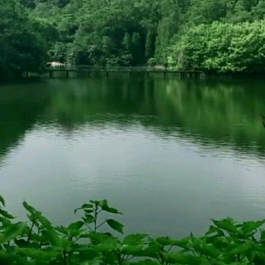 用户1156109577041