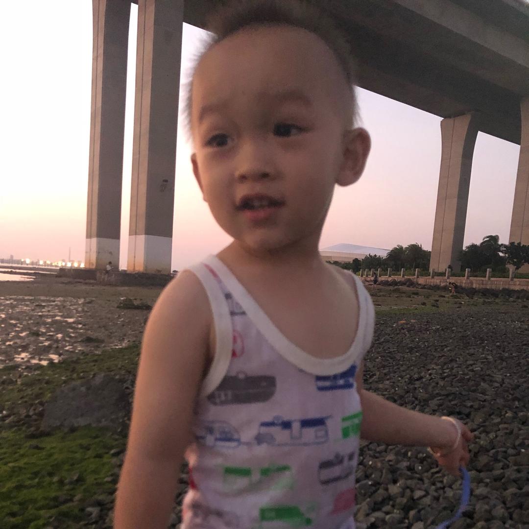 🏠🈶️2️⃣宝（浩宝宸宝）