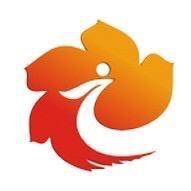 桃源融媒品质推荐