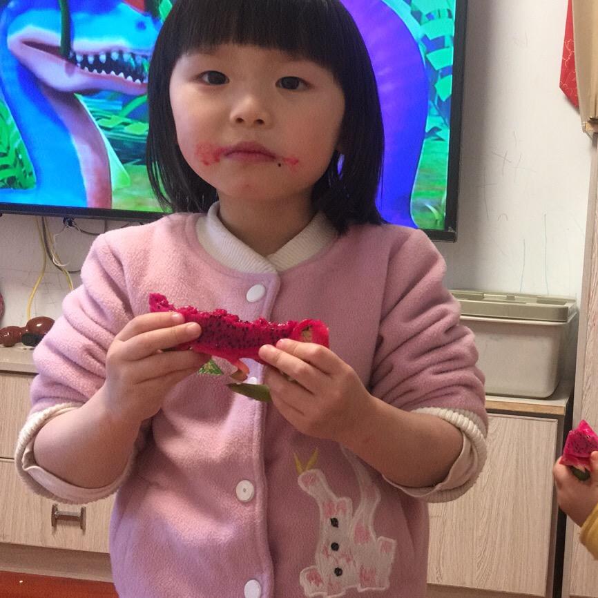 小岛蛋