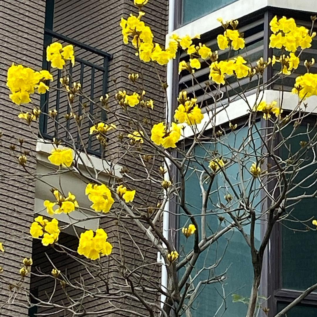 三小只he