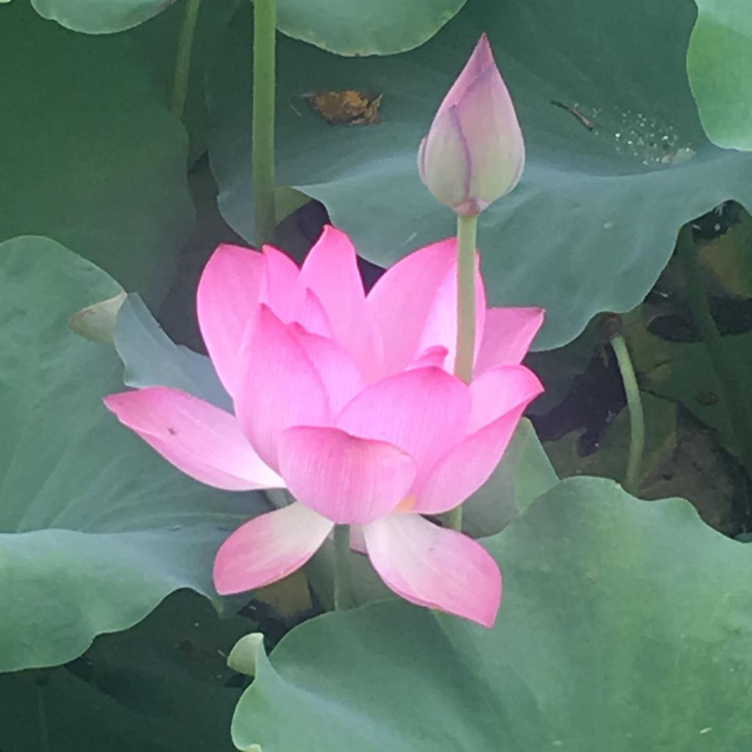 明天总比昨天好