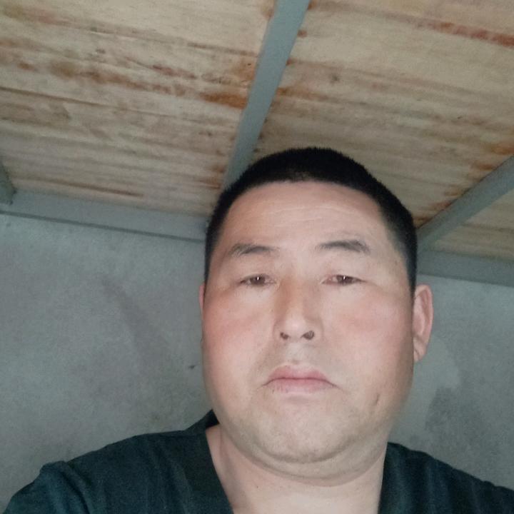 贾哥