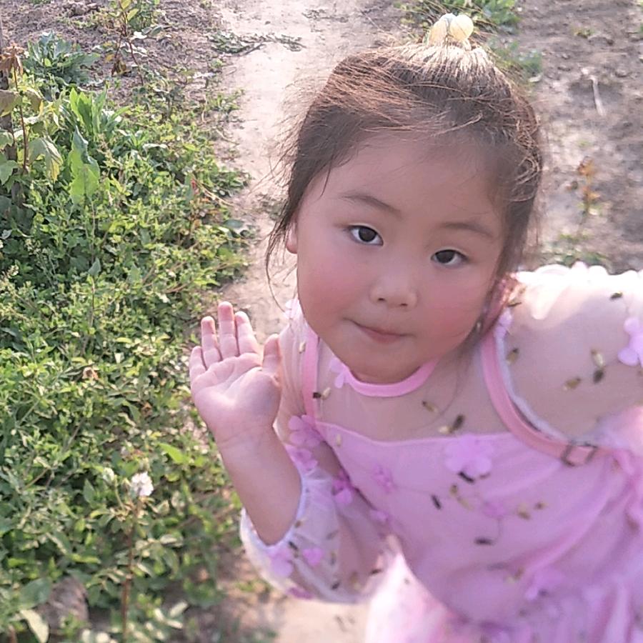 景家虫～小虫子🐛