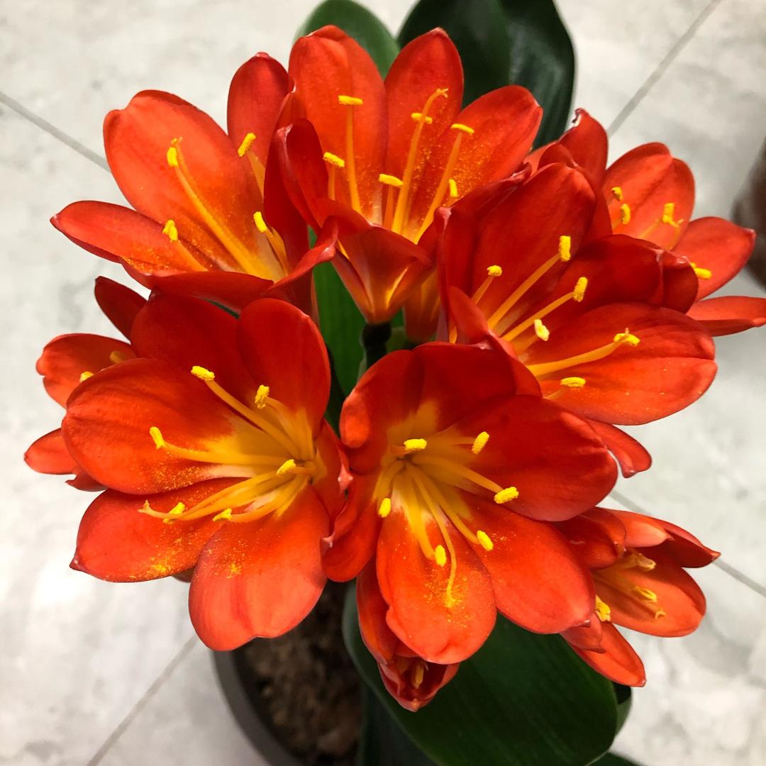 江苏🇨🇳南京🇨🇳志刚