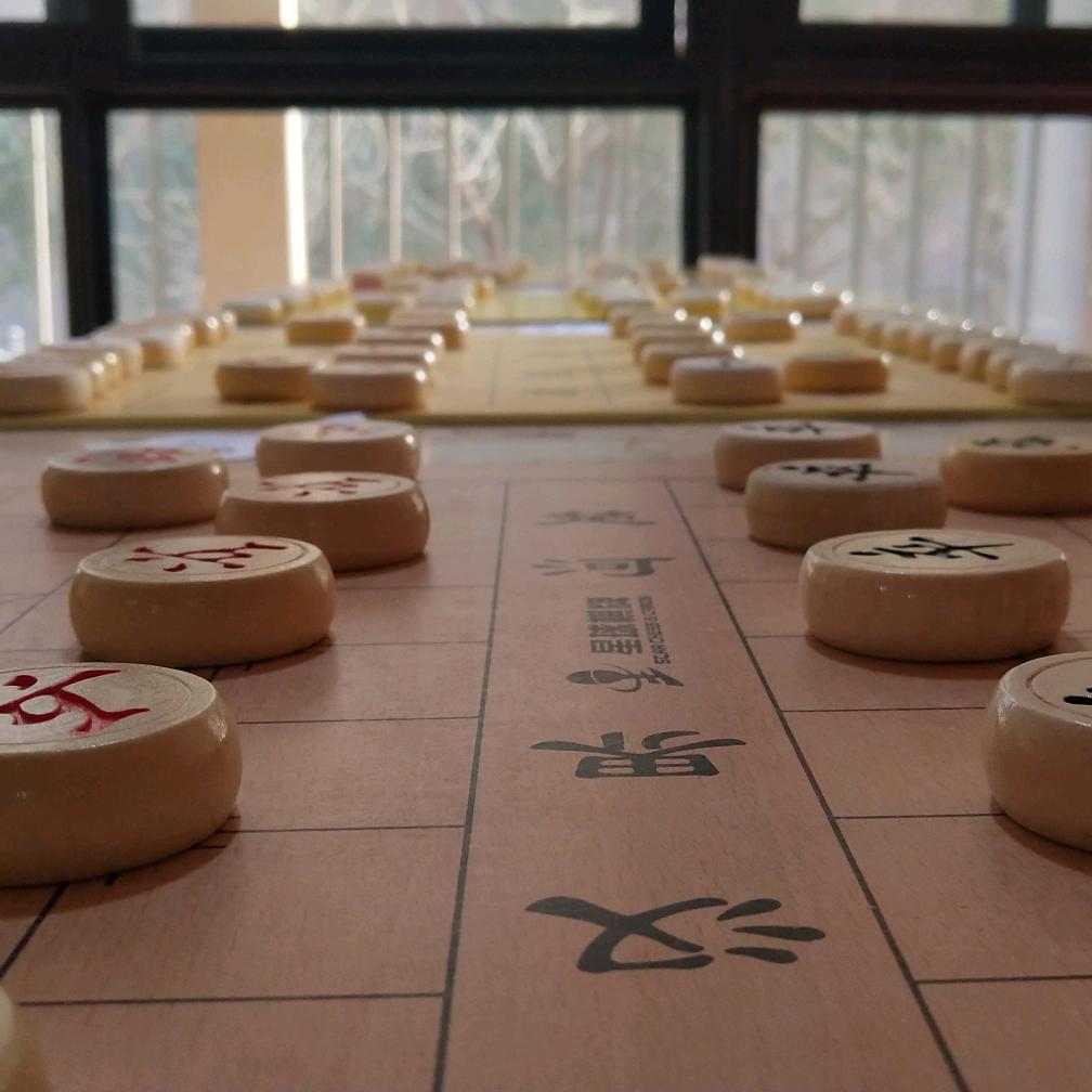 …青松-户外