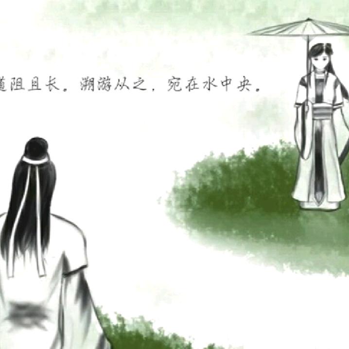 白山茶
