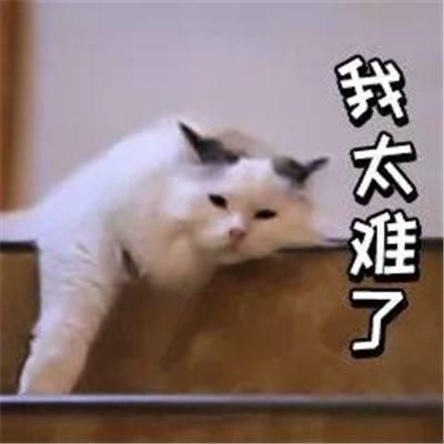 人生起起落落
