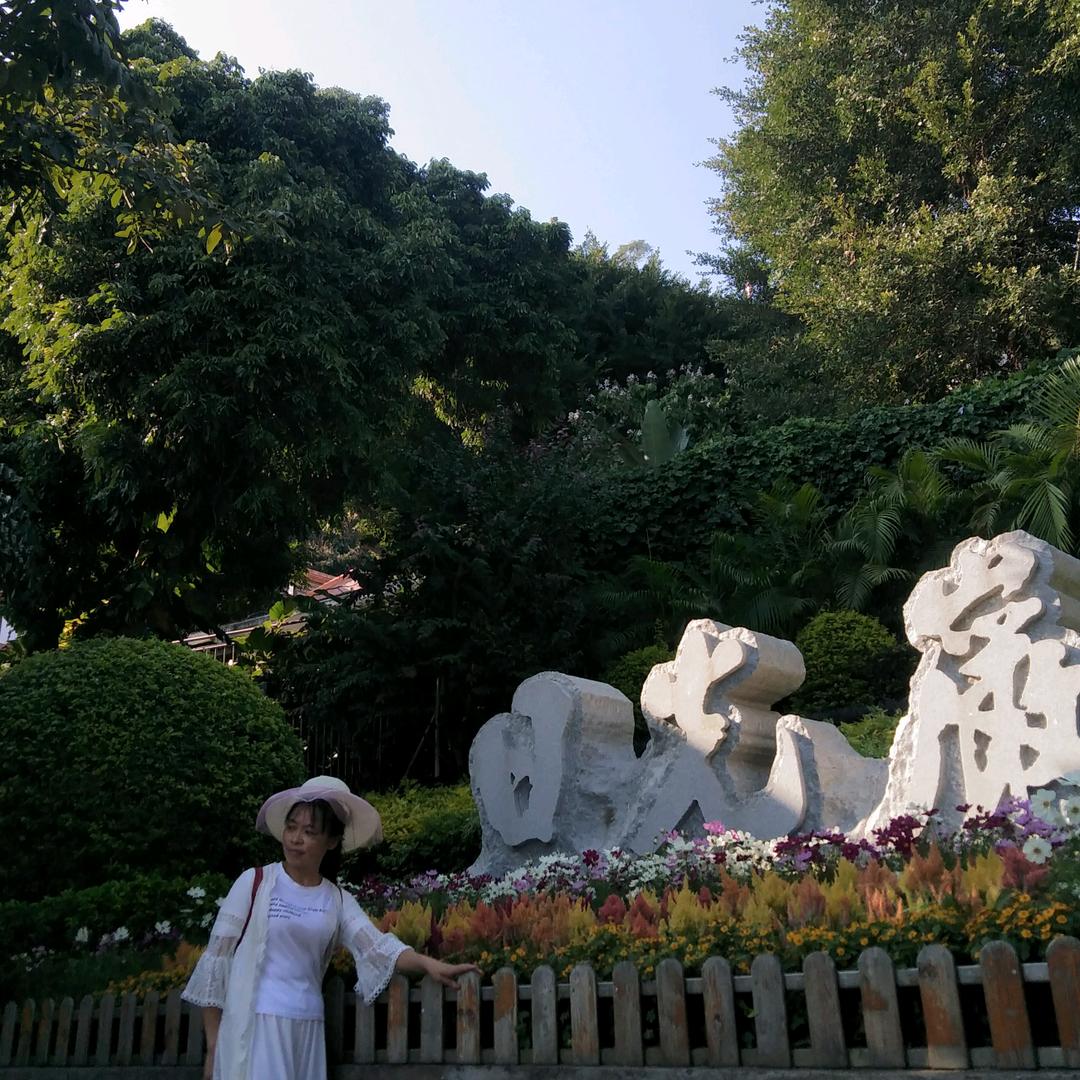一枝梅