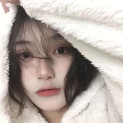 张集凤琴 鲜羊肉