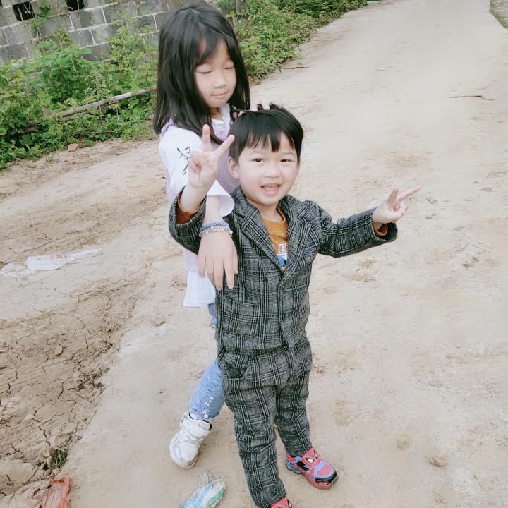 整片森林