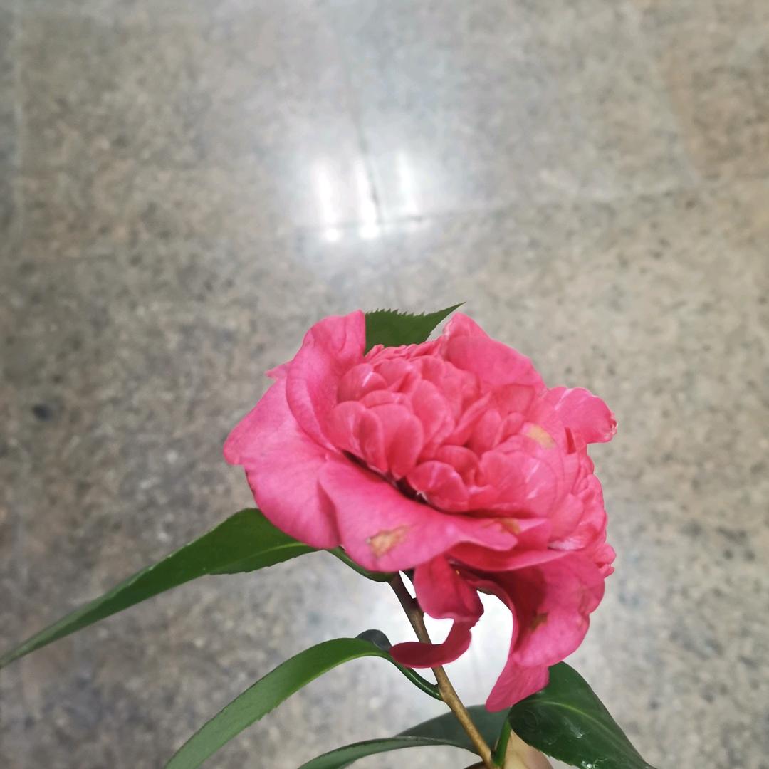 戒骄戒躁