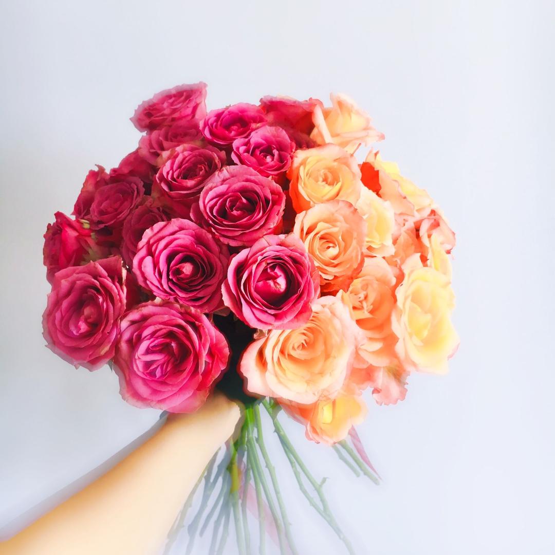 🌈风从♊️海上来🍭