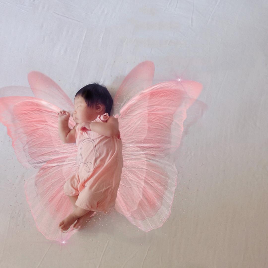 💫晞晞是·香草🌿