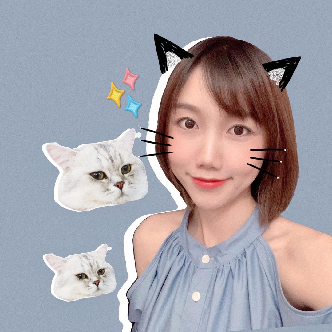 猫科007（养猫问我）