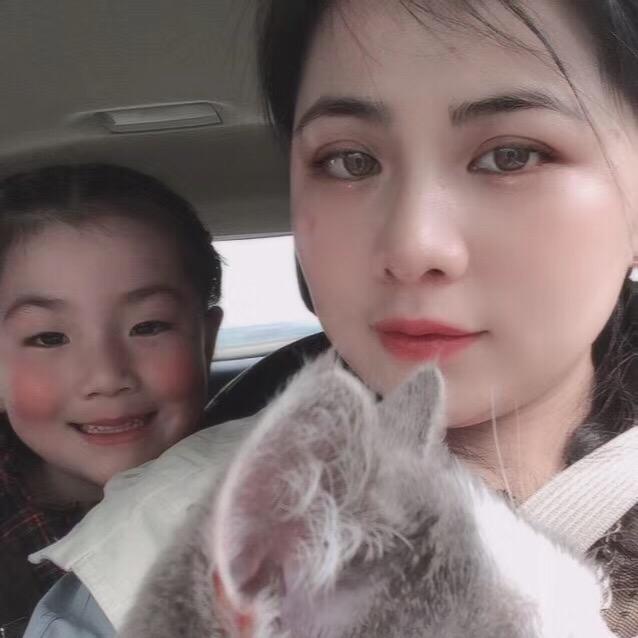 🐨