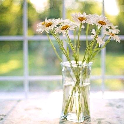 不眨眼的小妖怪