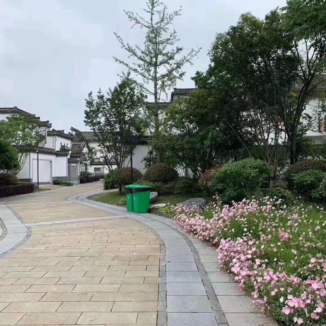 尖叫鸡