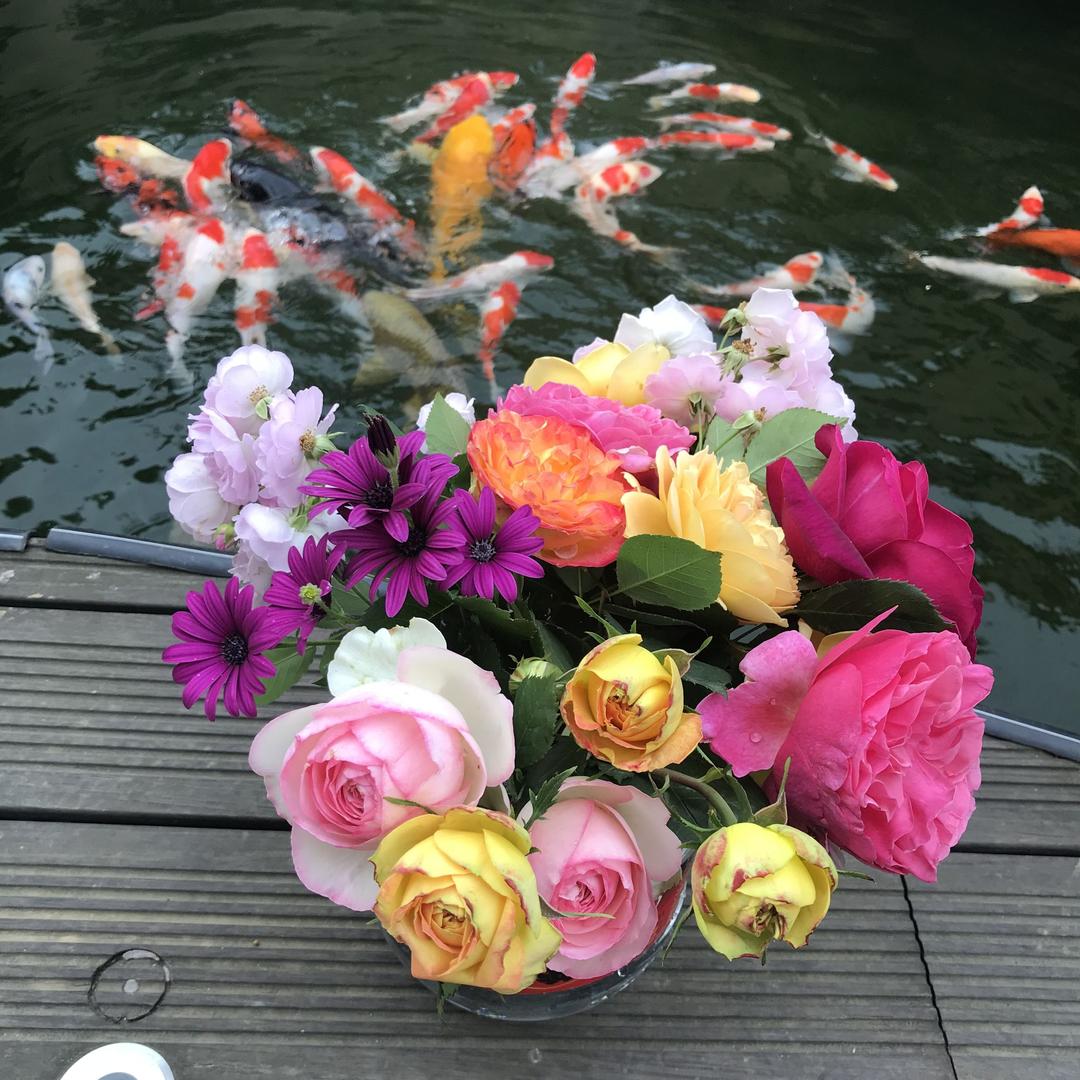 🌈🌈姚、笑靥如花