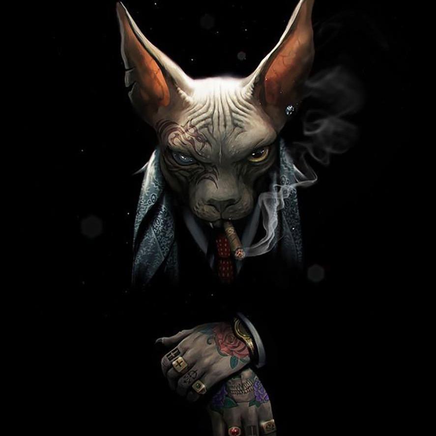 奥义！真•枇杷膏