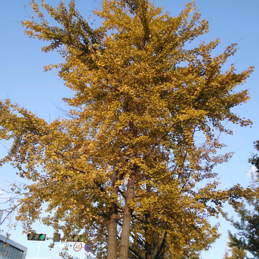 快乐人生地不熟