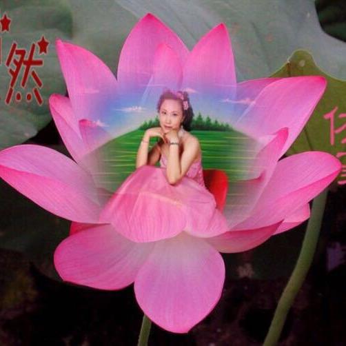 花儿朵朵