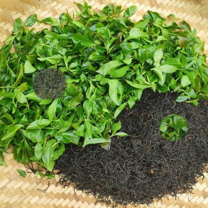 麦茶德公爵