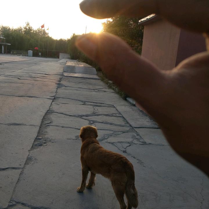 小正哥