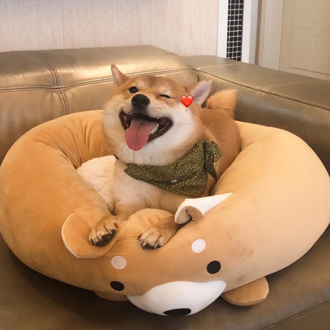 啊啊🈚️