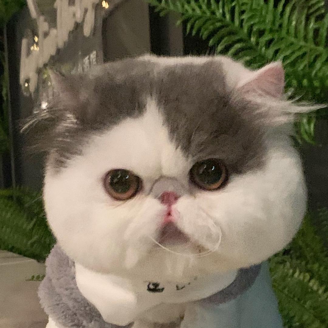 梁老财