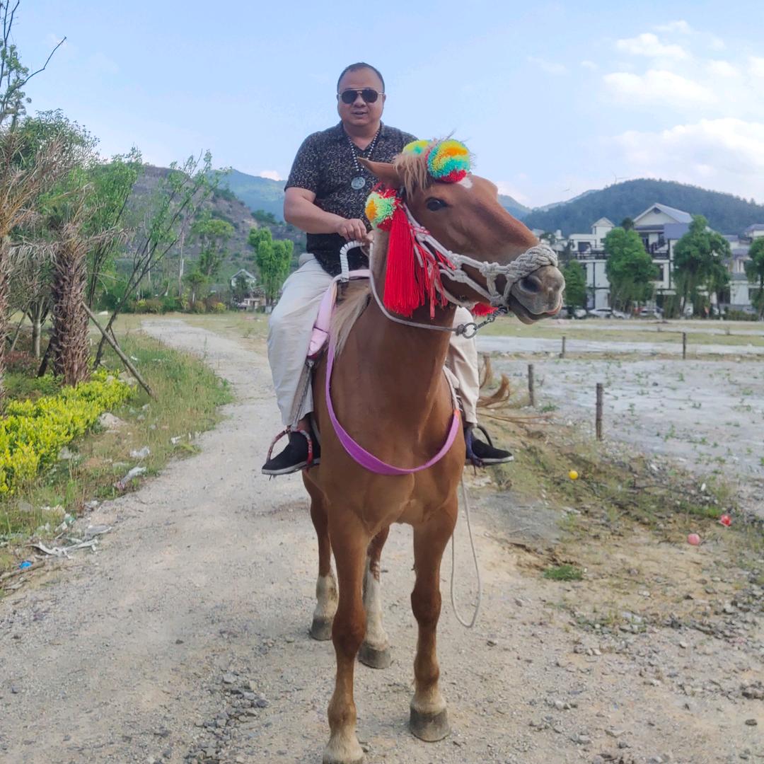 鼎发养殖专业合作社