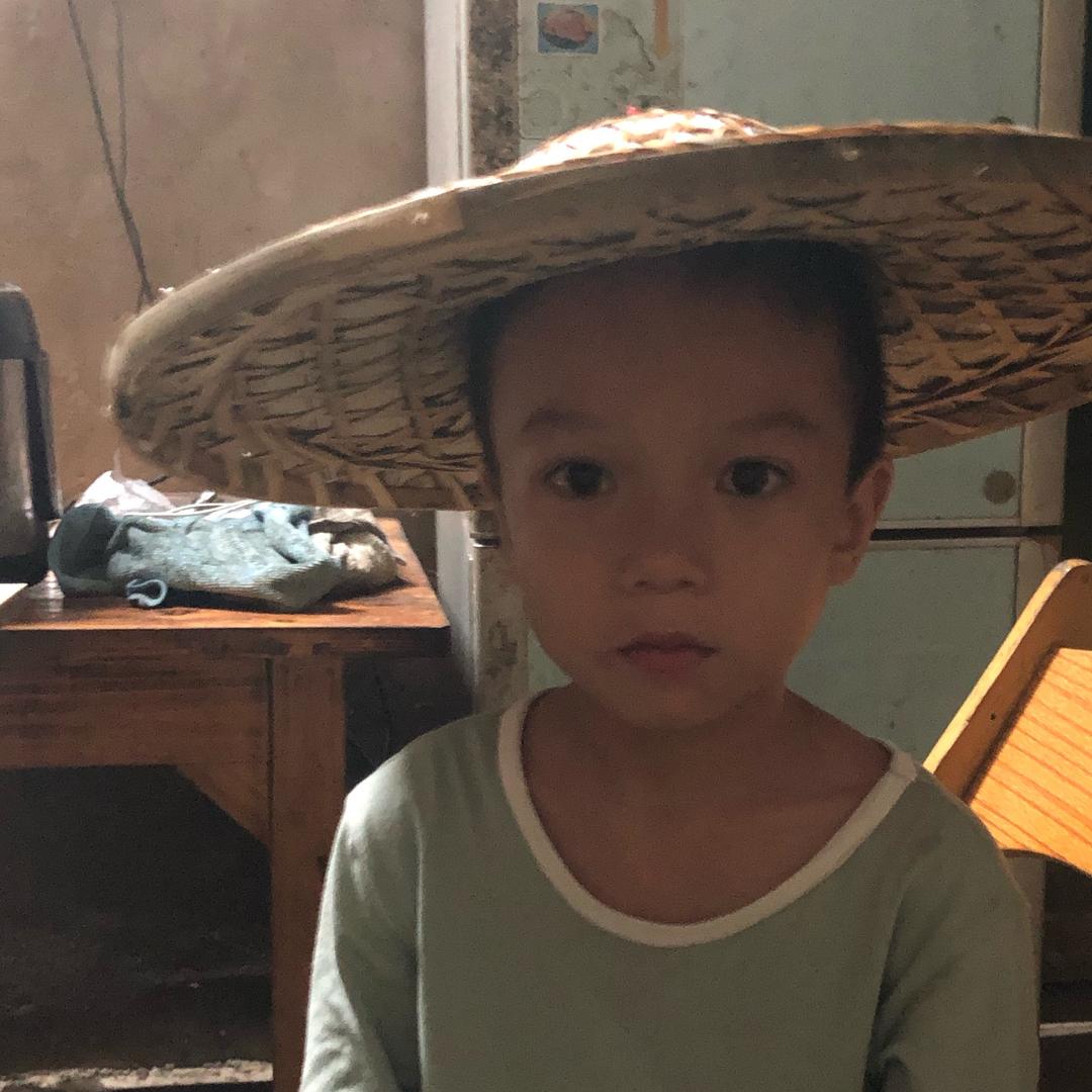 毛草